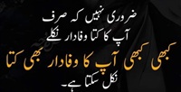کتا، وفادار اور وفاداری
